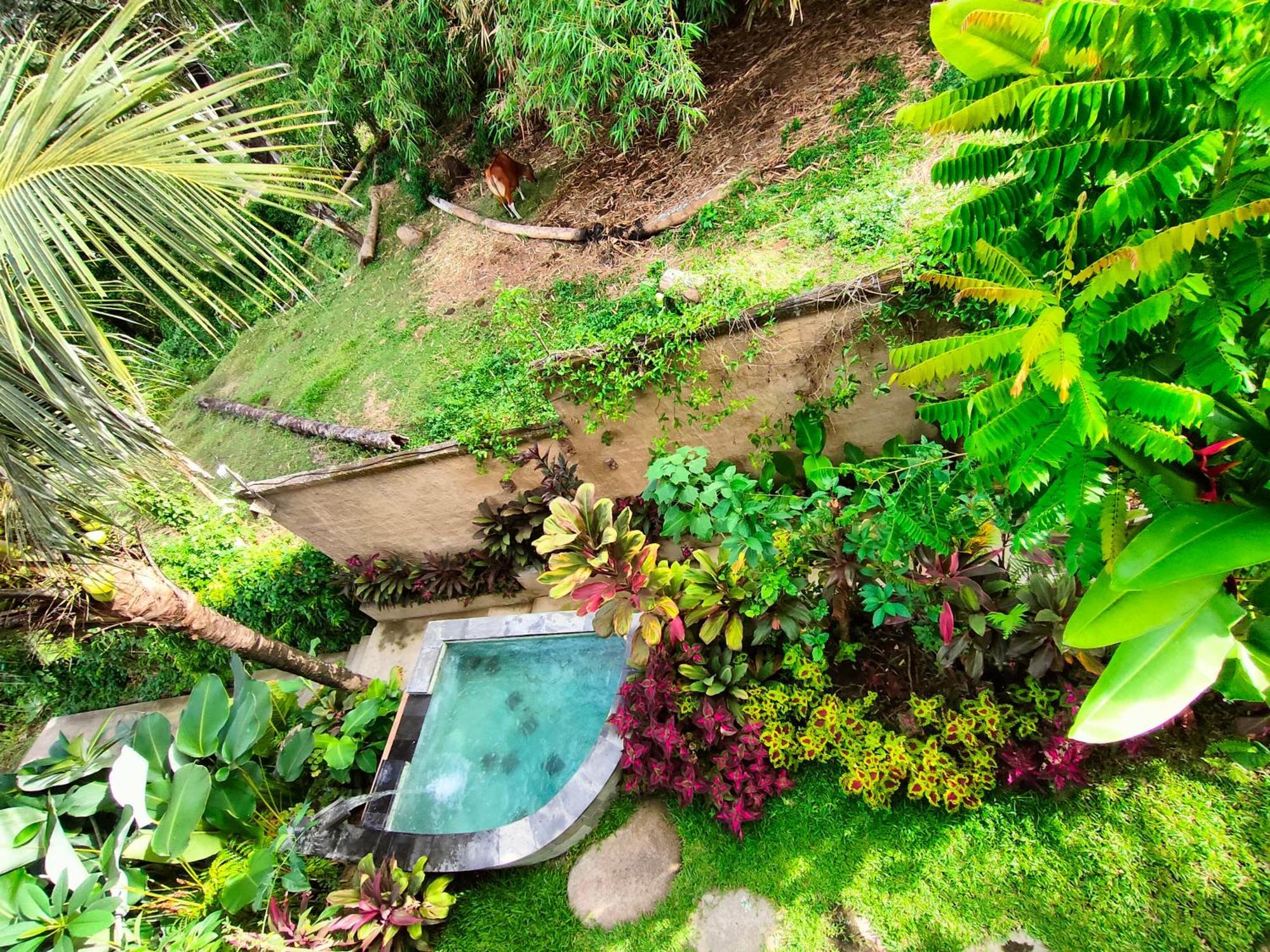 D'nanda Mini Bed & Breakfast