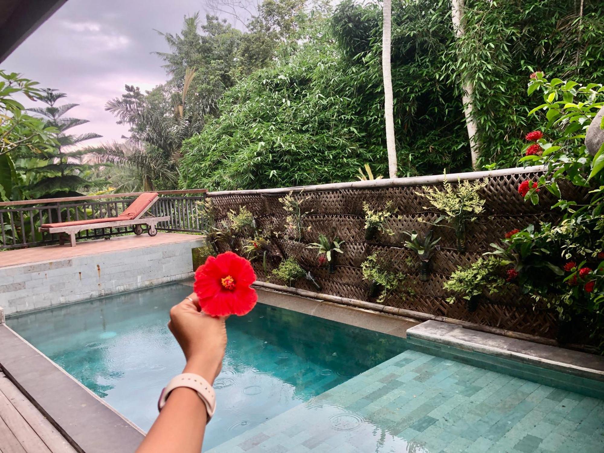 D'nanda Mini Bed & Breakfast Ubud