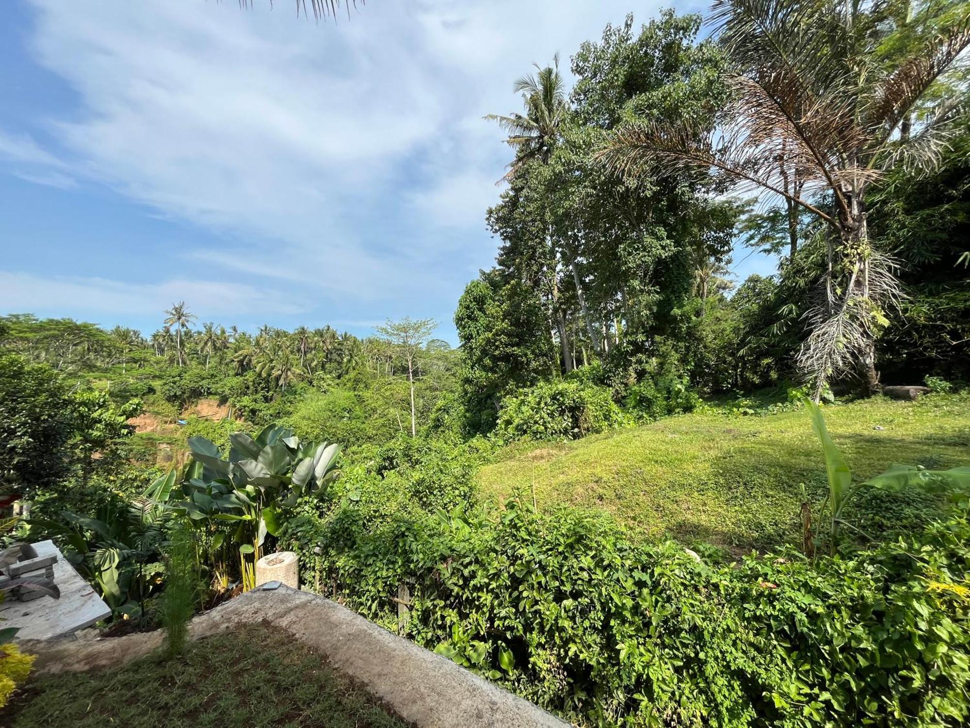 Bed & Breakfast D'nanda Mini 2*